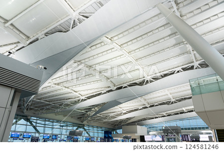 羽田機場國際線航廈天花板，出發旅行，東京大田區 124581246
