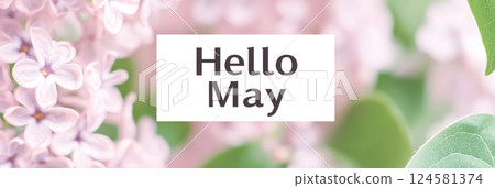 Hello May sign surrounded by fresh lilac blooms, seasonal background 124581374