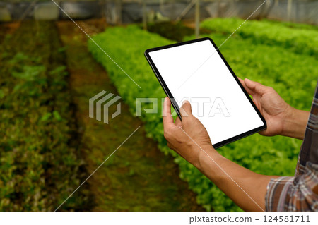 Close up of hands holding digital tablet with blank screen in greenhouse. Agricultural innovation concept 124581711