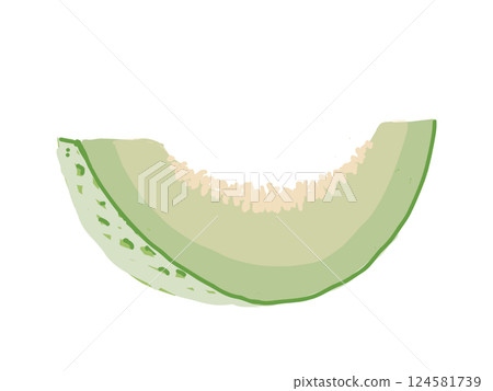 Hand-drawn illustration of cut melon Hand-drawn illustration of cut melon 124581739