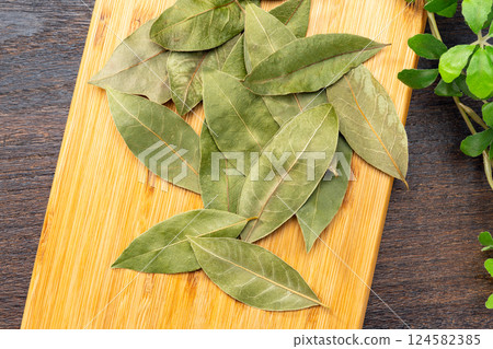Leaves of Laurie 124582385