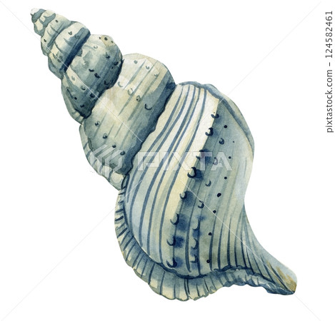 Blue spiral seashell watercolor illustration, ocean mollusk clipart, marine nature hand painted artwork 124582461