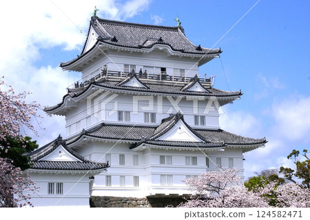 Odawara Castle Sakura Odawara Castle Sakura 124582471