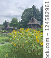 Shirakawa-go Gassho-style houses and sunflowers 124582961
