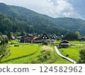 Shirakawa-go gassho-zukuri village in summer 124582962