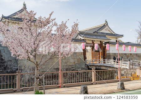 [Shizuoka Prefecture] Cherry blossoms at Higashimikado Gate, Sunpu Castle Park (Shizuoka Festival) 124583350