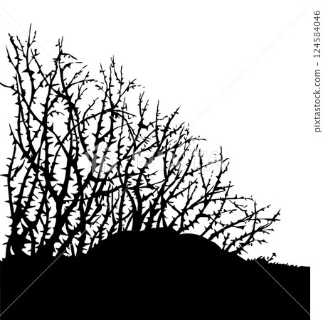Vector drawing. The thorn bushes Vector drawing. The thorn bushes 124584046