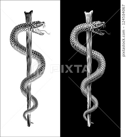 Rod of Asclepius Caduceus Medical Doctor Symbol Rod of Asclepius Caduceus Medical Doctor Symbol 124584067