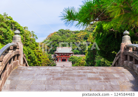 鎌倉：從太鼓橋看鶴岡八幡宮 124584483