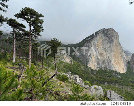 Beautiful landscape on rocks and coniferous pine forest Beautiful landscape on rocks and coniferous pine forest 124584519