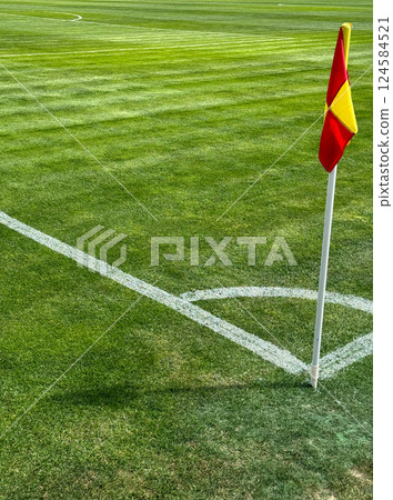 Football flags on the corner of the green field of the stadium 124584521