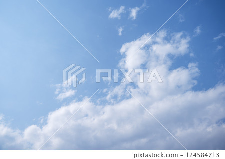 Blue sky Spring sky Sunny Spring March [Tokyo] 124584713
