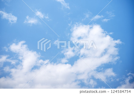 Blue sky Spring sky Sunny Spring March [Tokyo] 124584754