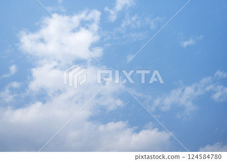 Blue sky Spring sky Sunny Spring March [Tokyo] 124584780