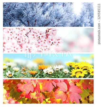 Set of horizontal nature banners. Four season of year. Each one features scene of nature, from the gentle snowfall of winter to the vibrant leaves of summer. Perfect for showcasing changing seasons Set of horizontal nature banners. Four season of year. Each one features scene of nature, from the gentle snowfall of winter to the vibrant leaves of summer. Perfect for showcasing changing seasons 124585111