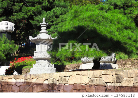 Old stone lantern at Bongeunsa temple, Seoul, South Korea. Picturesque scene with ancient lantern and pine tree, Bongeunsa Temple During. Topic of travel, trip abroad on vacation, cruises and tours 124585118