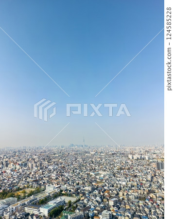 東京晴空塔和城市景觀的鳥瞰圖 124585228