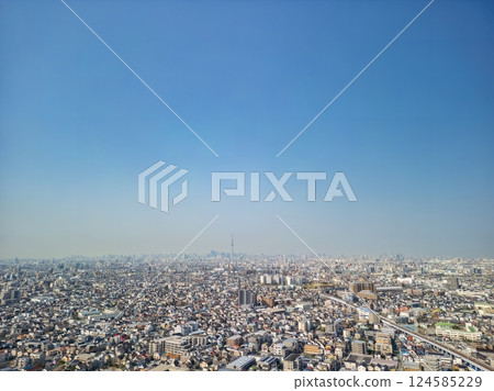 Aerial view of Tokyo Skytree and cityscape 124585229