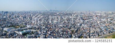 東京晴空塔和城市景觀的鳥瞰圖 124585231