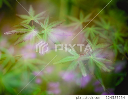 美麗的多重曝光風景與五顏六色的植物 美麗的多重曝光風景與五顏六色的植物 124585234