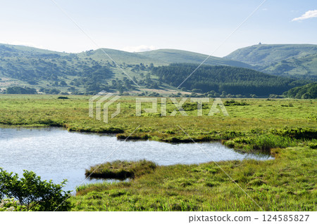 長野縣下諏訪町夏天的屋島原濕原 124585827