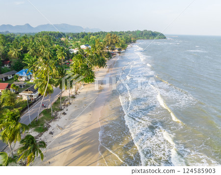 The ariel view of the clear sky with palm trees, fine sand and foam waves splashed to serene beach in Chumphon, Thailand. 124585903
