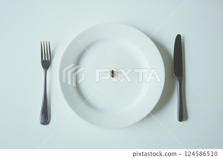 Fly on empty plate with vintage silverware. AI-generated item 124586510