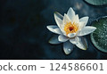 White water lily with raindrops on pond. AI-generated item 124586601
