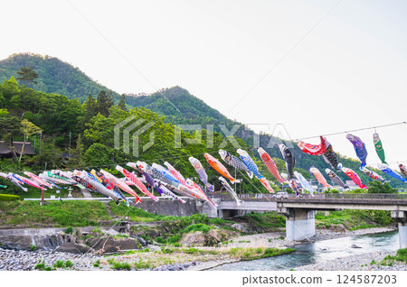 Yoda River Carp streamers Yoda River Carp streamers 124587203