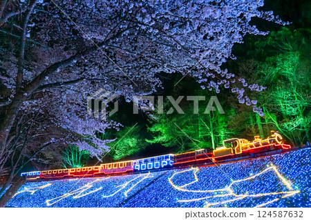 夜晚的櫻花和機車彩燈－伊豆、修善寺、虹之裡 124587632