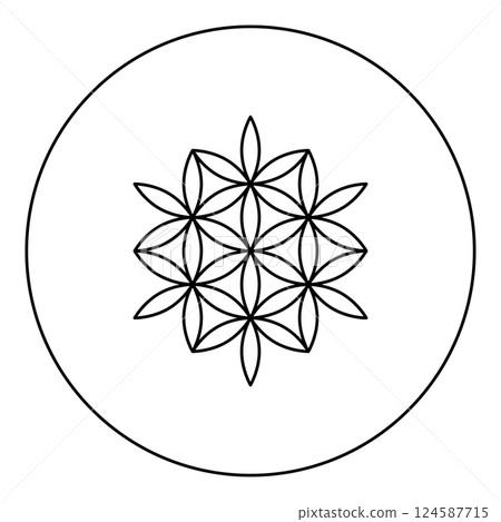 Flower of life Sacred geometry icon in circle round black color vector illustration image outline contour line thin style Flower of life Sacred geometry icon in circle round black color vector illustration image outline contour line thin style 124587715