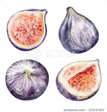 Fresh Tropical figs watercolor illustration. Hand-drawn sketch of ripe Fruit and berries, perfect for summer recipe books or food packaging designs. Artwork for health blogs or wellness marketing. 124587807