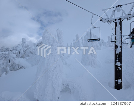 山形藏王溫泉滑雪場烏托邦滑雪場的滑雪場，從纜車上可以看到覆蓋著冰霜的樹木 124587907