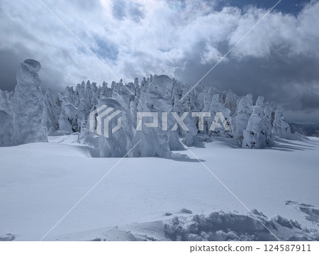 Yamagata Zao Onsen Ski Resort, Rime-covered trees, Kurohime slope 124587911