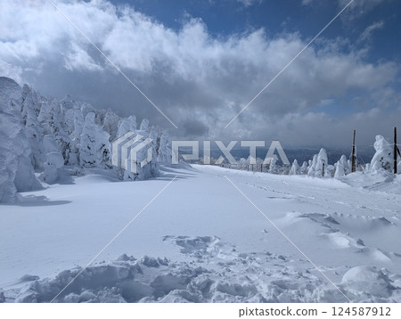 Yamagata Zao Onsen Ski Resort, Rime-covered trees, Kurohime slope 124587912