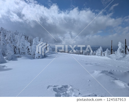 Yamagata Zao Onsen Ski Resort, Rime-covered trees, Kurohime slope 124587913