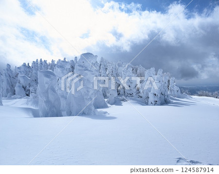 Yamagata Zao Onsen Ski Resort Rime-covered trees Rime-covered trees Yamagata Zao Onsen Ski Resort Rime-covered trees Rime-covered trees 124587914