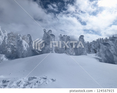Yamagata Zao Onsen Ski Resort Rime-covered trees Rime-covered trees 124587915