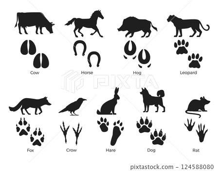 Animals silhouettes with footprint. Mammals, rodents, birds black paws prints, wild life representatives, cow, rat, hare, isolated elements with text, wildlife footstep, nowaday vector set Animals silhouettes with footprint. Mammals, rodents, birds black paws prints, wild life representatives, cow, rat, hare, isolated elements with text, wildlife footstep, nowaday vector set 124588080