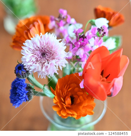 春天的花朵 春天的花朵 124588455