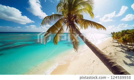Long sandy beach with palm trees by the sea sunny clear day 124589938
