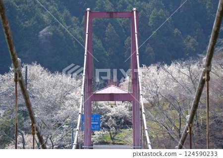 A tower on a bridge over Lake Tsukigase in Nara Prefecture with white plum blossoms in full bloom in the background A tower on a bridge over Lake Tsukigase in Nara Prefecture with white plum blossoms in full bloom in the background 124590233