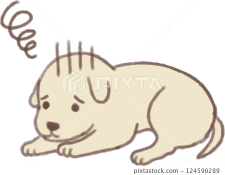 Dog with no energy 124590289