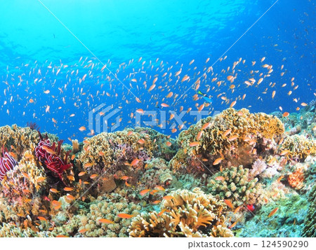 Perfect for travel brochures | Beautiful ocean and scuba diving scenery in Miyakojima, Okinawa 124590290