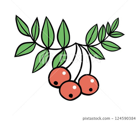 Red berry with leaves on a branch Red berry with leaves on a branch 124590384