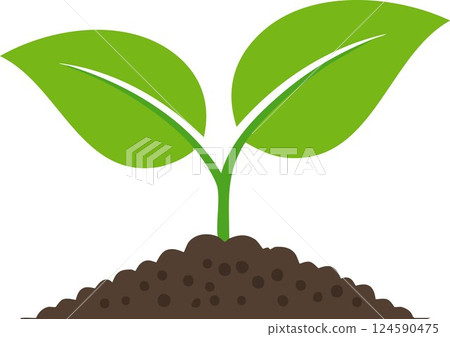 A green young plant growing in soil on white background A green young plant growing in soil on white background 124590475