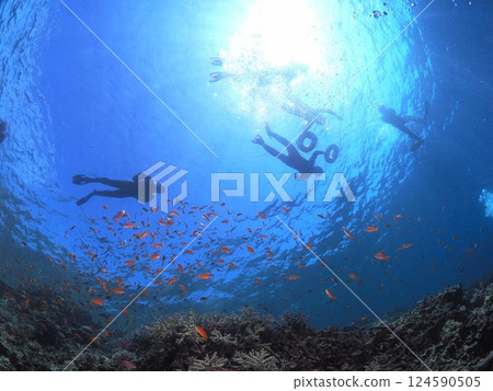 Enjoy scuba diving in the spectacular coral reefs of Yaebisho | The crystal clear waters of Miyakojima, Okinawa 124590505