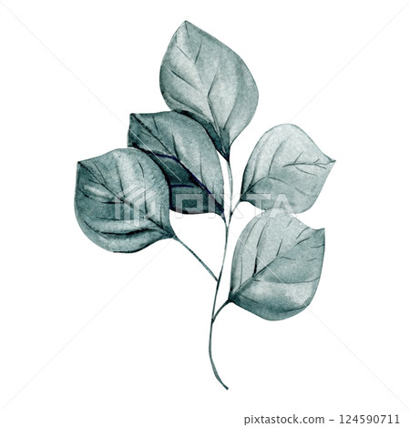 Watercolor green branch with five leaves, botanical illustration of elegant foliage, hand painted floral element. 124590711