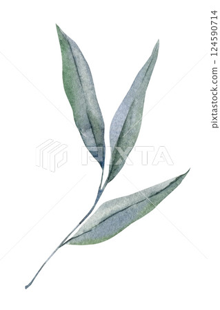 Hand painted watercolor illustration of long green leaves, elegant botanical foliage clipart isolated white background 124590714