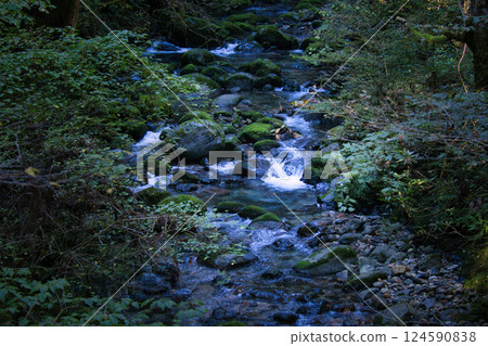 The beautiful, clear, blue murmur of a mountain stream 124590838